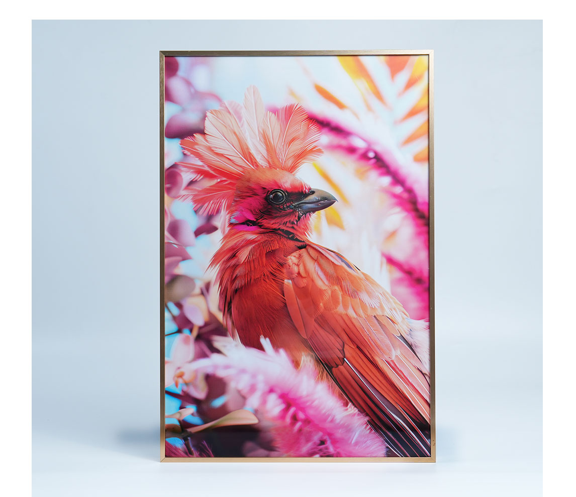 框画（开启框）